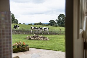 Interior - Winsbury Cottage, East Hauxwell, Yorkshire Dales (Nr Leyburn)