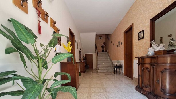 Un pasillo con una planta en maceta, puertas de madera, una escalera y un aparador de madera.