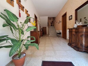 Un couloir avec une plante en pot, des portes en bois, un escalier et un meuble en bois.