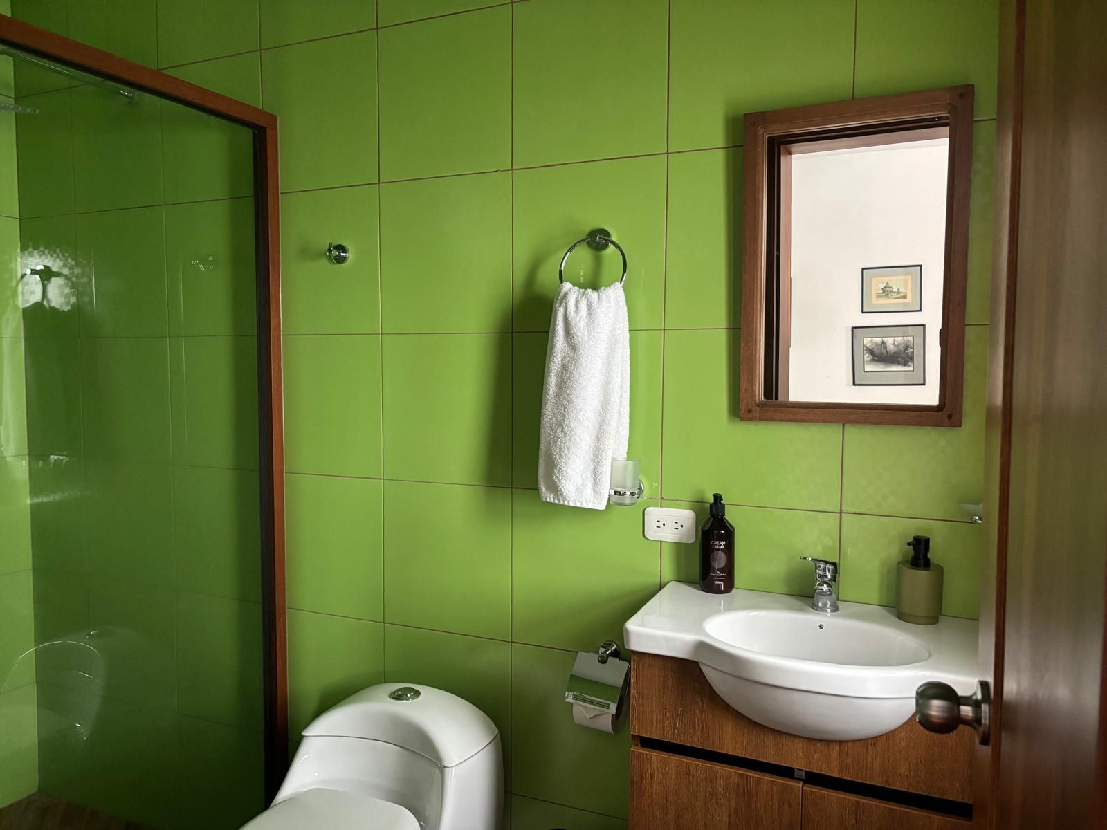 A bathroom with green tiles, a white toilet, a sink, and a mirror with pictures.