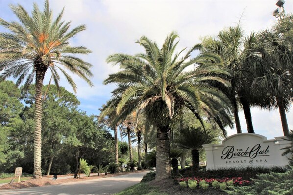 A sign for The Beach Club Resort & Spa surrounded by palm trees.