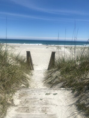 A sandy beach path leading to the ocean with tall grass on either side. - Welcome to your Sea Escape 2 Ocean and Sound Views Pet Friendly (Topsail)
