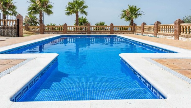 Une piscine rectangulaire aux carreaux bleus, entourée d’un mur de pierre et de palmiers.