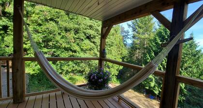 Family & dog friendly for 6 people - walking distance to 4 lakes!