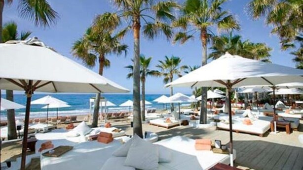 A beachside resort with white lounge chairs and umbrellas, palm trees, and a view of the ocean.