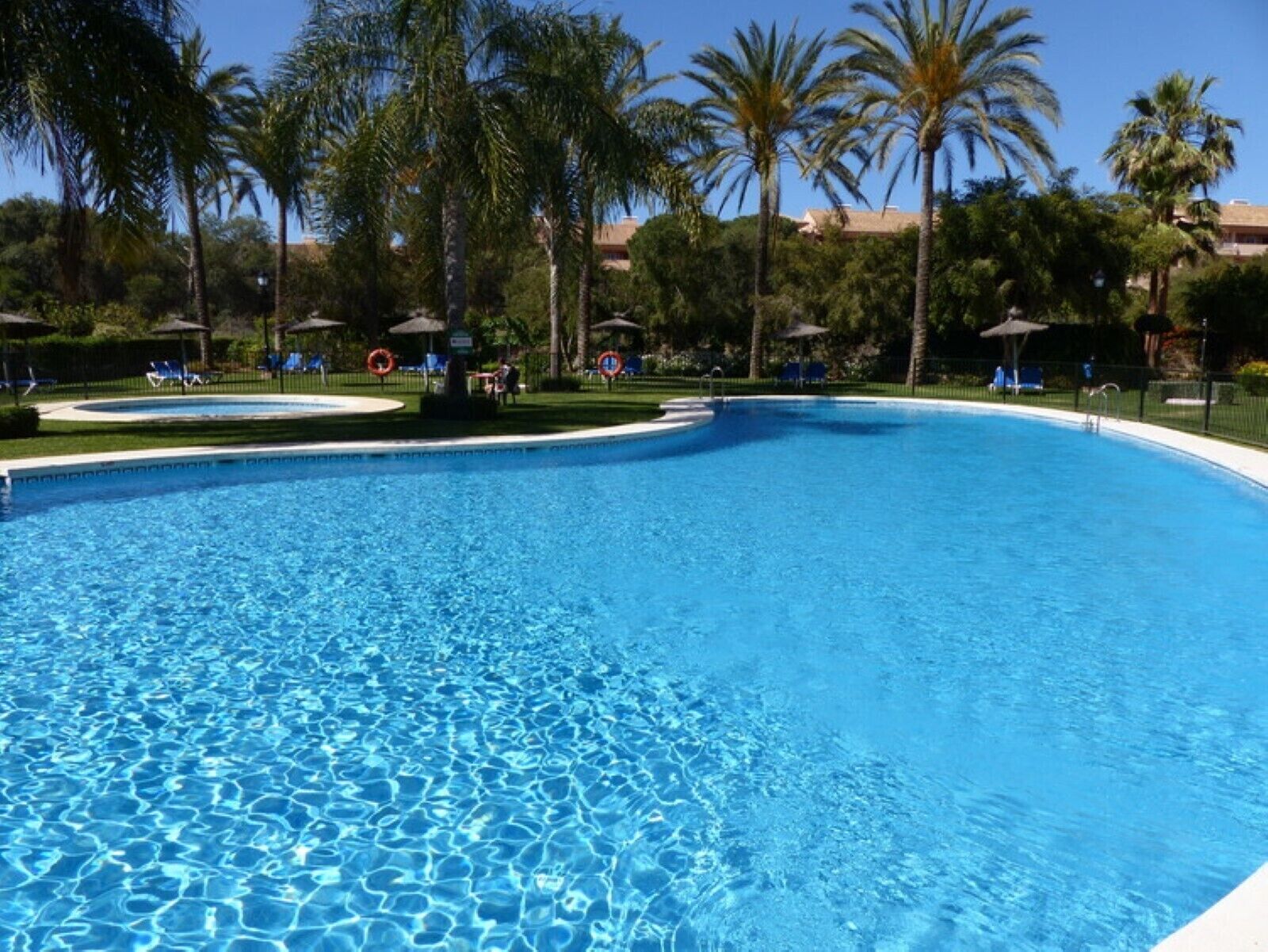 Ein großer, klarer Pool, umgeben von Palmen und Liegestühlen.