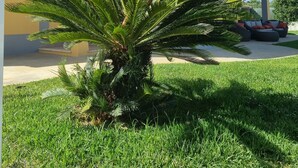 A yellow building with a curved roof and a palm tree in the foreground. - 4 bedroom villa with private pool, 5 min from the beach, Wifi included (Moncarapacho)
