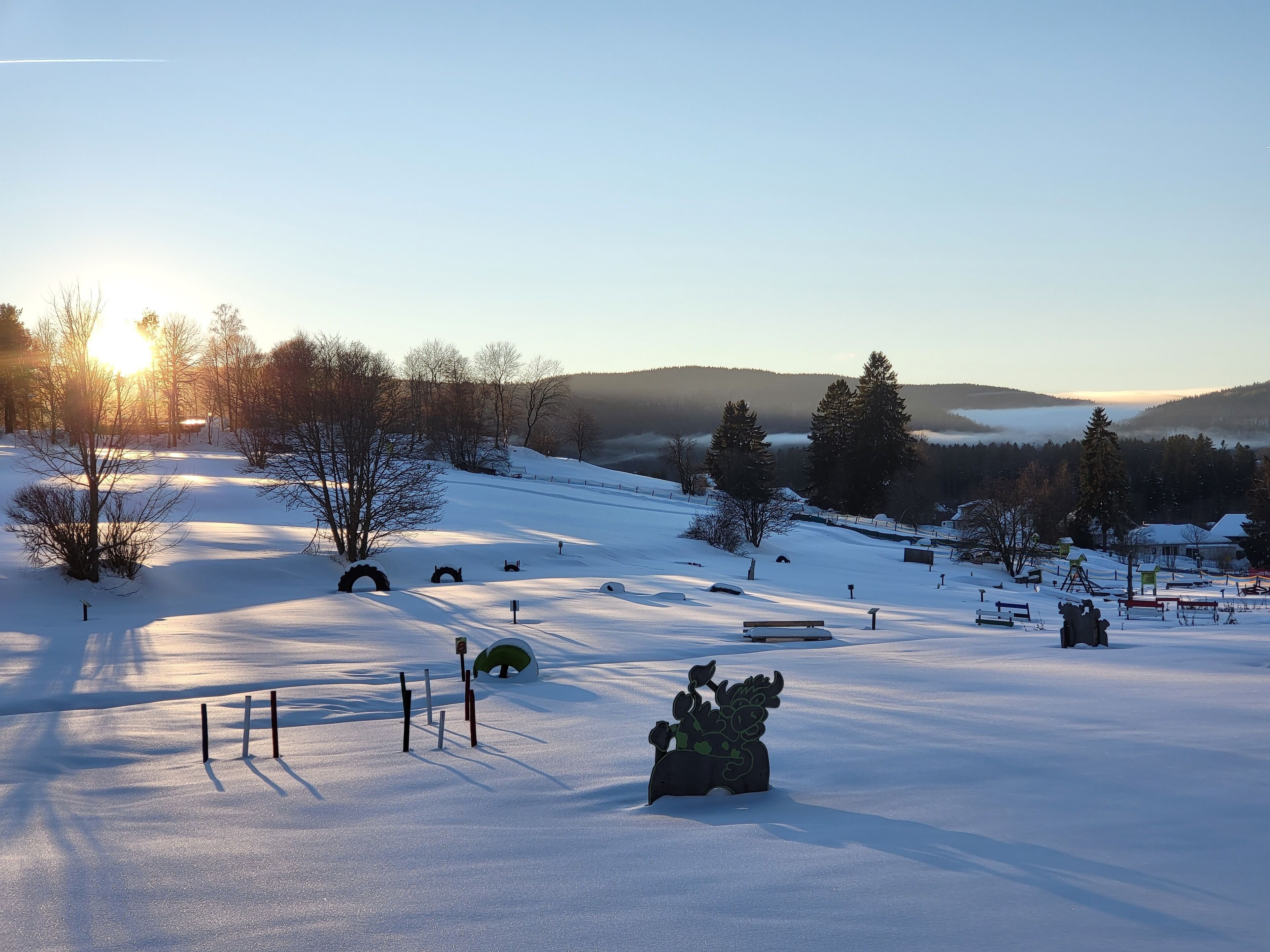 Schneebedeckte Landschaft mit Skipiste, Bäumen und blauem Himmel.