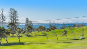 A coastal landscape with a grassy field, trees, and a view of the ocean. - Heathers Seaside Apartments 1, 10 Rankine Street (Crescent Head)