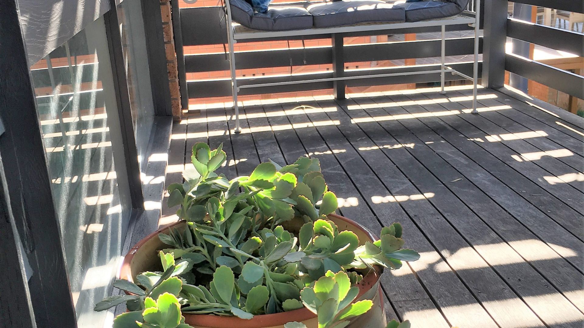 A wooden deck with a potted plant in the foreground.