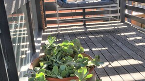 A wooden deck with a potted plant in the foreground.