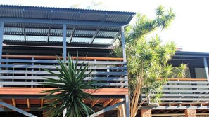 A building with a corrugated metal roof, wooden beams, and a large plant in the foreground.