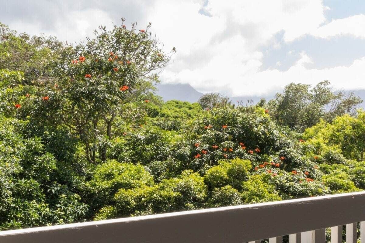 Un jardín exuberante con follaje denso y flores rojas, visto desde un balcón.