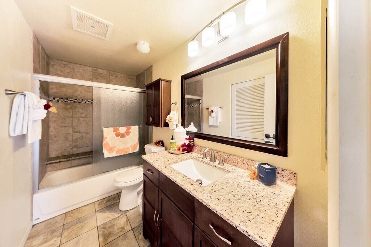 Tina con regadera y secadora de cabello 