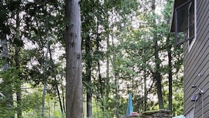 Una escalera de piedra que lleva a una cabaña de madera rodeada de bosque.
