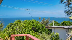 A coastal view with a clear sky, power lines, and dense greenery.