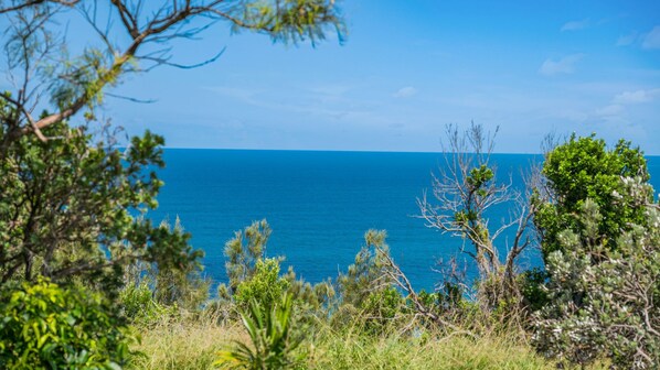 Un paysage côtier offrant une vue dégagée sur la mer et la végétation environnante.