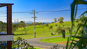 A view of a green landscape with a road, power lines, and a distant body of water.