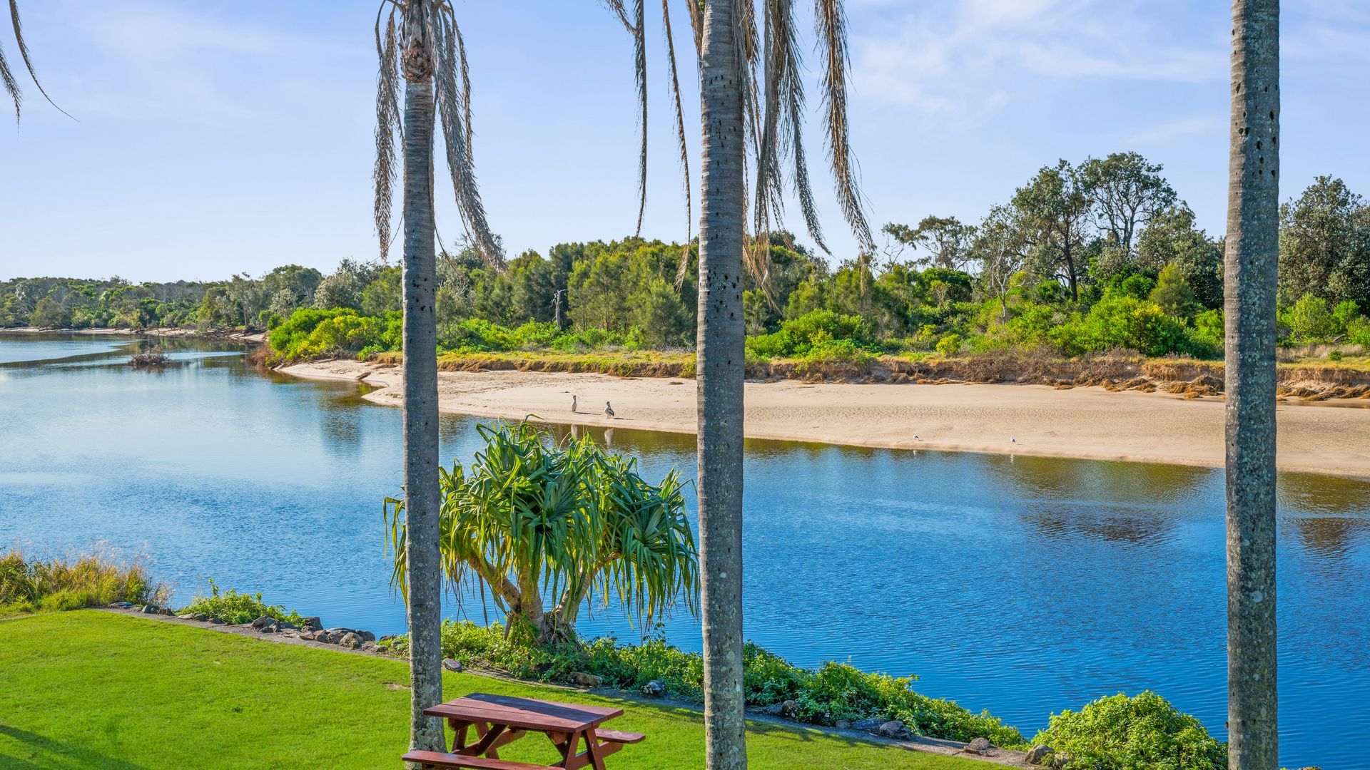 Uitzicht op een rivier met een picknicktafel en palmbomen.