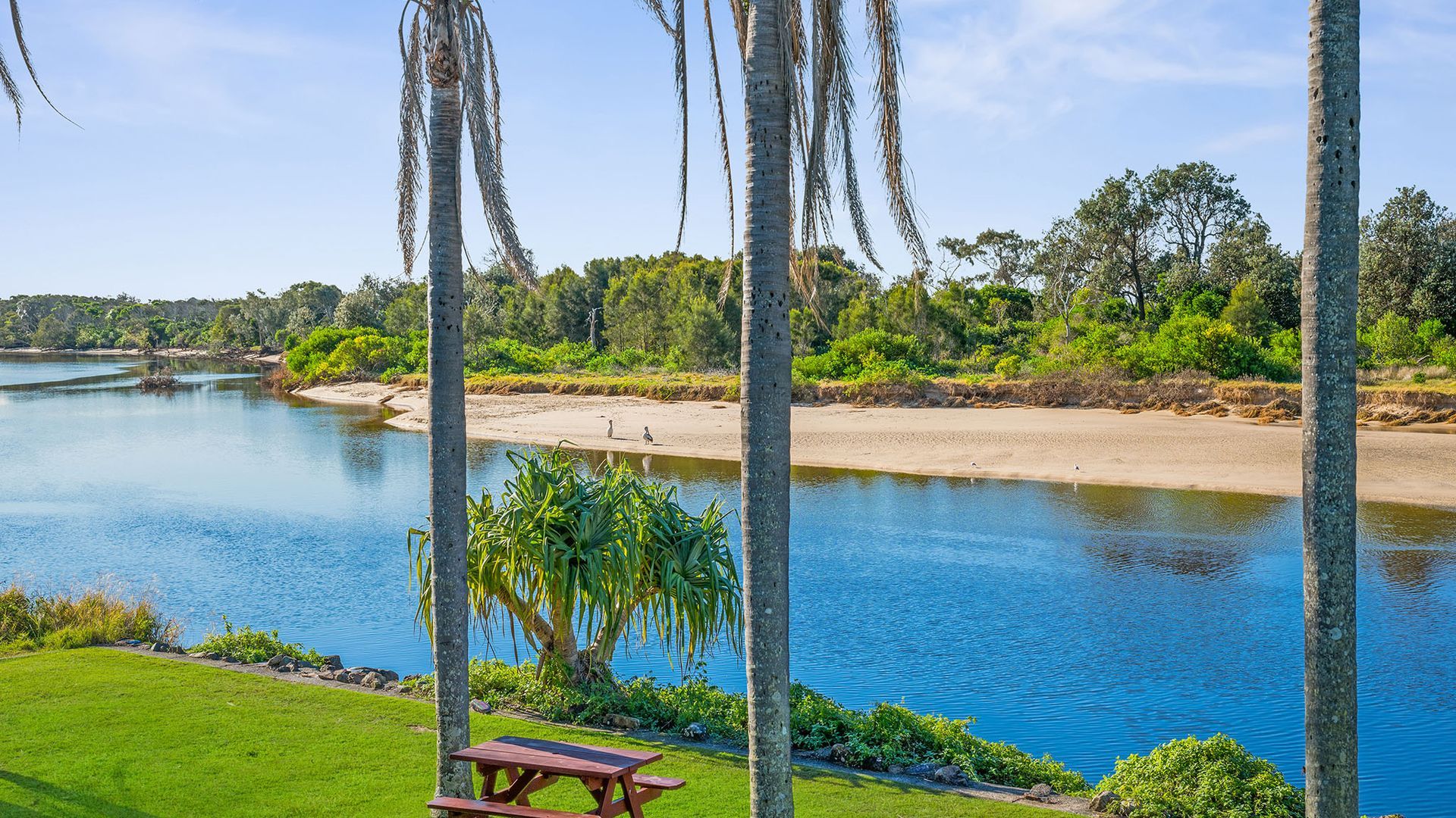A riverside view with a picnic table, palm trees, and a sandy beach.