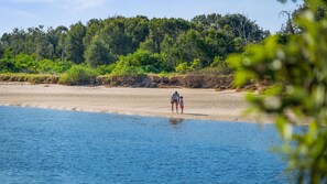 Escena de playa con una persona y un niño cerca de la orilla, rodeado de vegetación y árboles.