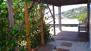 A wooden pergola with climbing plants, a wooden deck, and a bench.