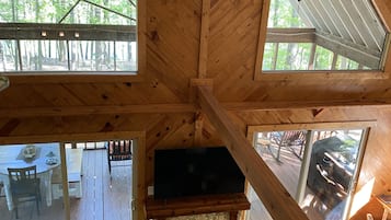 Smart TV, fireplace, books