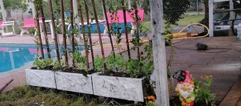 Remarkable 6-Bed Villa in Lobios