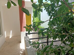 المنطقة المحيطة بالمنشأة