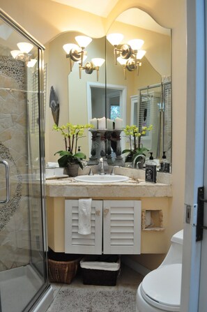 A bathroom with a glass shower enclosure, a sink with a mirror above it, and a toilet. There are two potted plants on the sink counter. - Serene Montclair Getaway (Oakland)