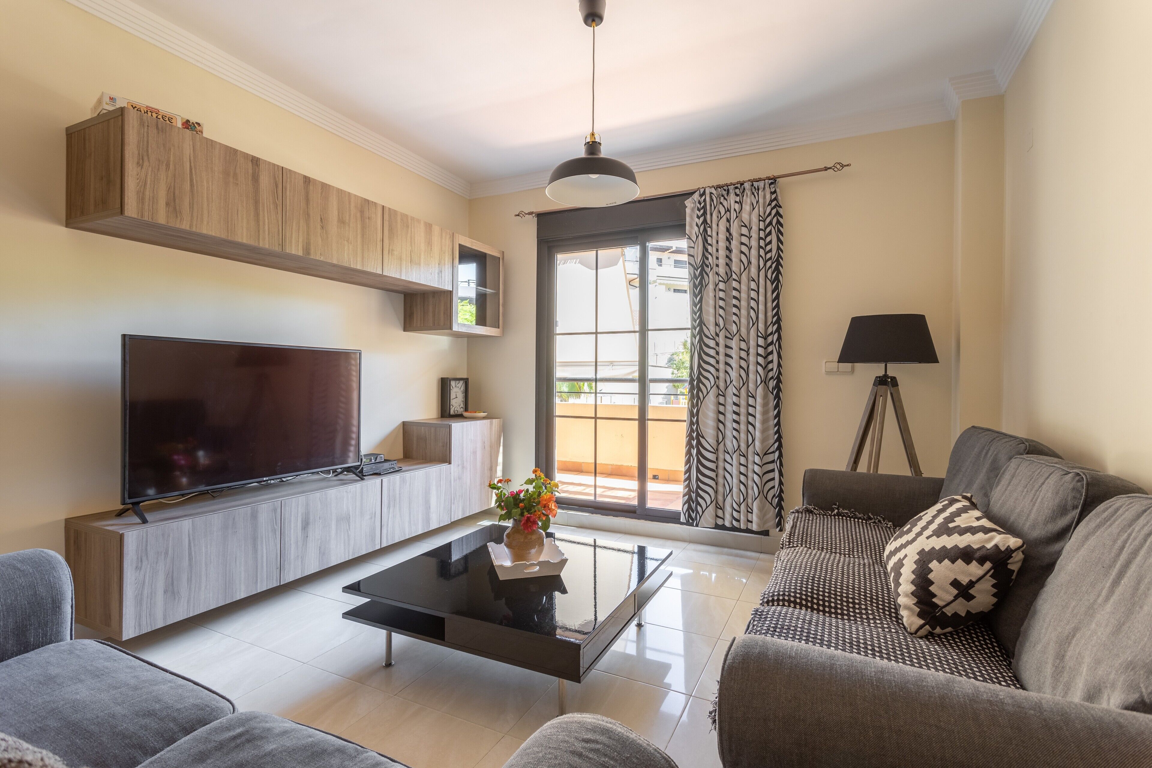 電視、DVD 播放機