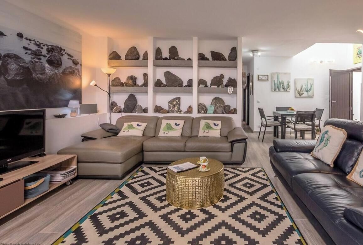 A modern living room with a sofa, coffee table, and a wall display of rocks.