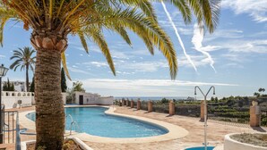 Una piscina amb una palmera, una font i vista a la ciutat.