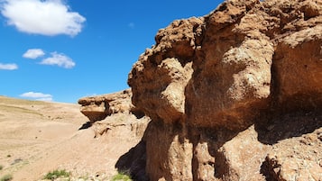 Ecotours