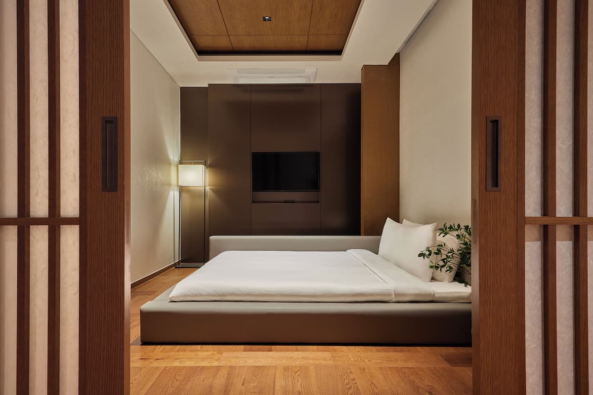 A modern bedroom with a large bed, a flat-screen TV mounted on the wall, and a bedside plant.
