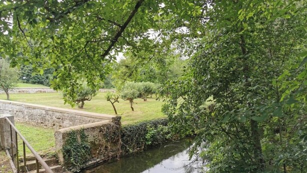 Ein friedlicher Garten mit einem kleinen Bach, einer Steinbrücke und üppiger Vegetation.