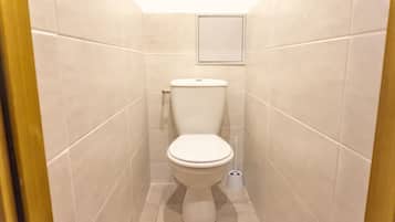 A small, modern bathroom with a toilet, a wall-mounted medicine cabinet, and a floor-mounted bidet.