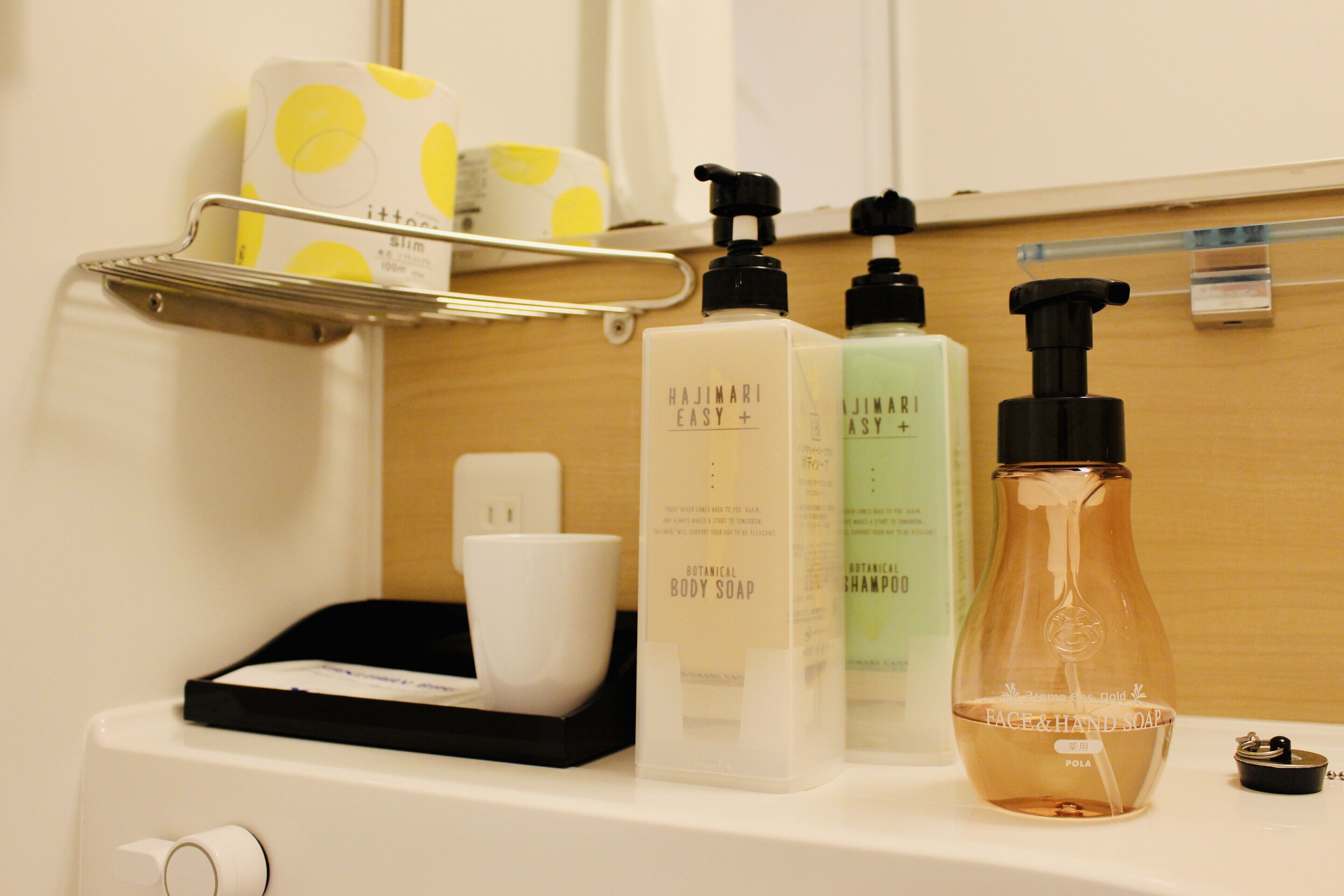 combined shower/bathtub, free toiletries, hair dryer, slippers