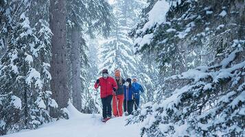 Un grupo de personas esquiando en un bosque nevado.
