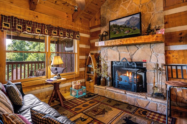 TV, fireplace, video games, DVD player