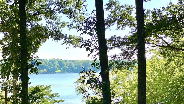 Une vue sur le lac, avec un quai, une pelouse et des arbres.