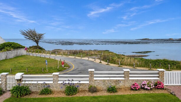 Una carretera costera con un muro de piedra, un árbol y vistas al mar.
