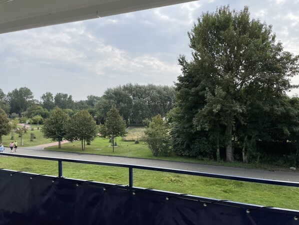 Terrain de l’hébergement 