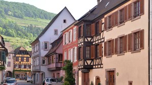 Une rue pavée bordée de bâtiments traditionnels à colombages, de voitures garées et, au loin, d’une colline.