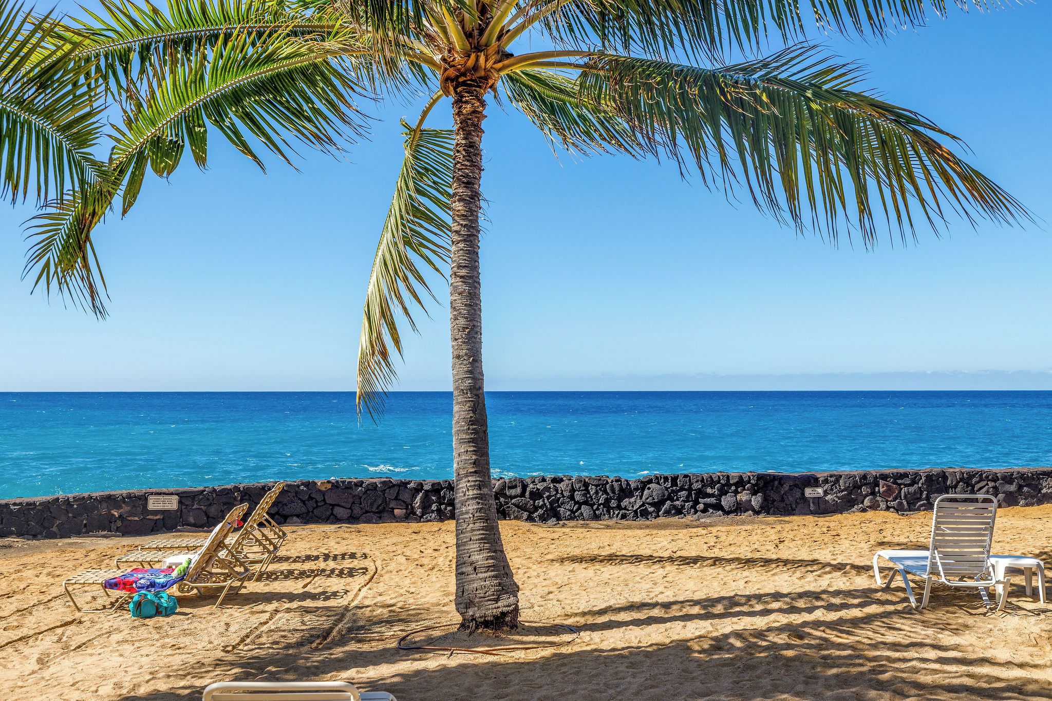 Una playa con una palmera, dos sillas de playa y un muro rocoso.