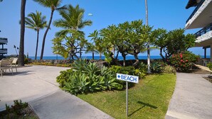A beachfront area with a sign pointing to the beach, palm trees, and a clear view of the ocean.