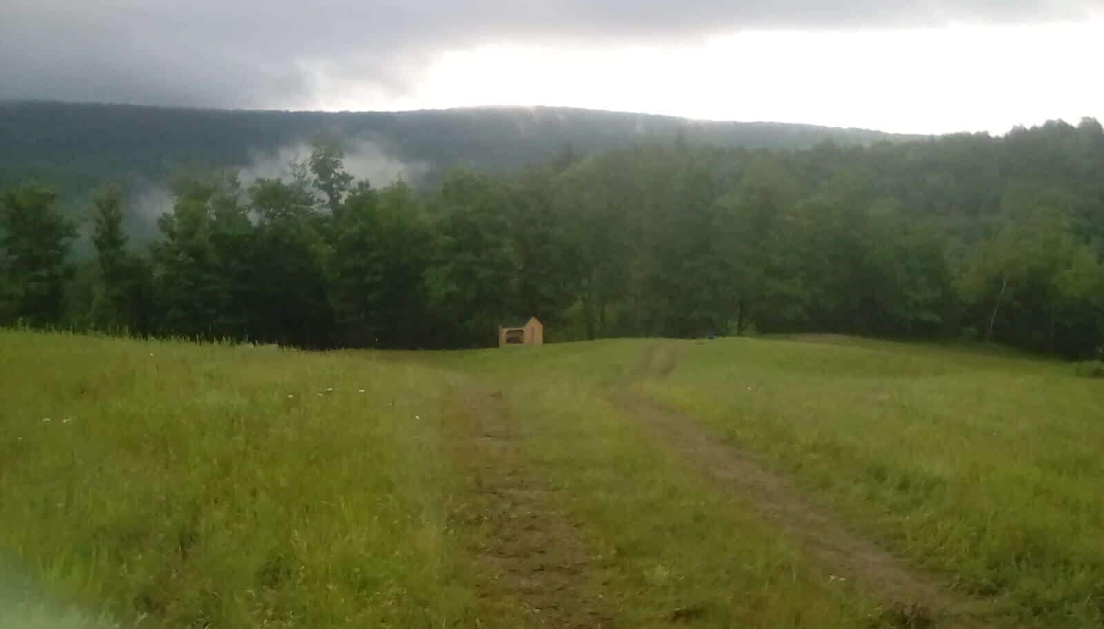 Ein grasbewachsenes Feld mit einem Feldweg, der zu einem kleinen Gebäude führt.