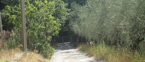 Terrain de lâhĂ©bergement