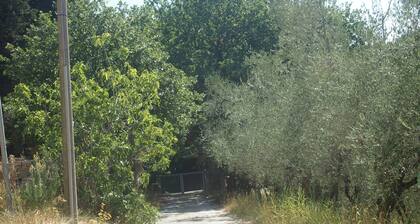 Agriturismo Ardizio 43