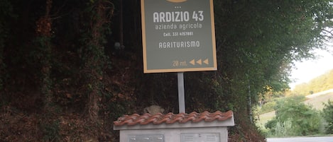 Detalle del exterior